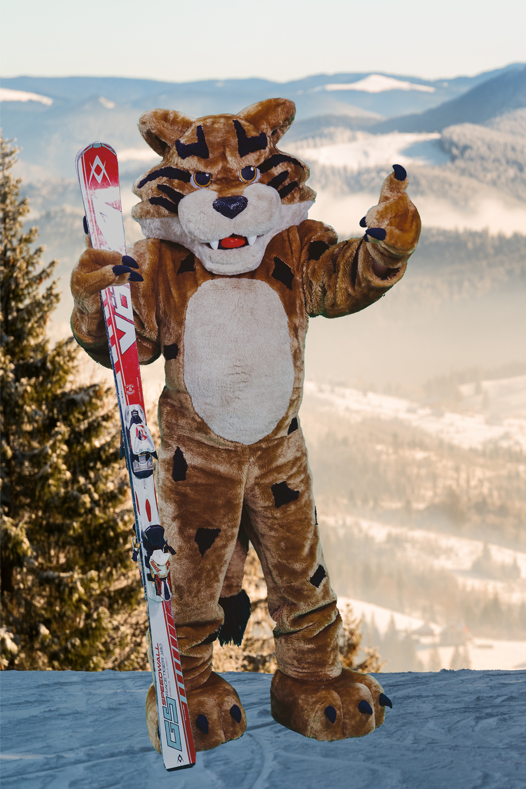 Mascot skiing